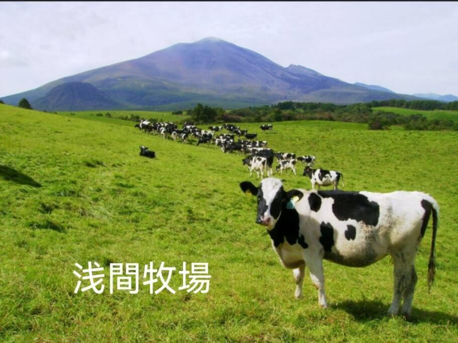 おもちゃ王国と北軽井沢の大自然を満喫できる貸別荘 Karuizawa Extérieur photo